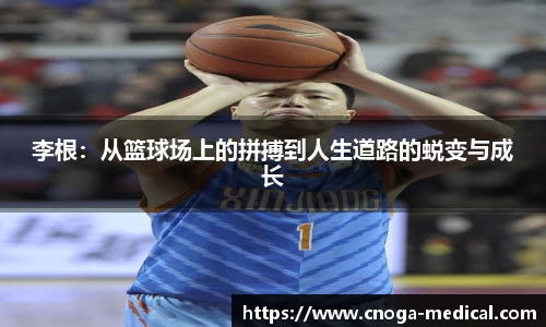kaiyun中国官方认证