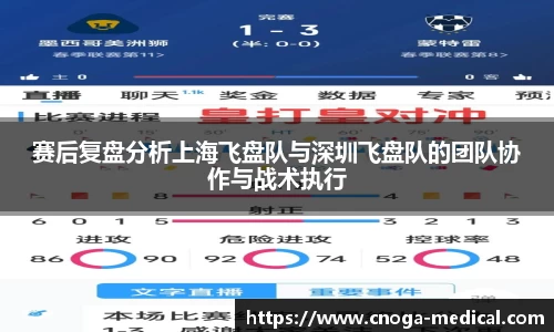 赛后复盘分析上海飞盘队与深圳飞盘队的团队协作与战术执行