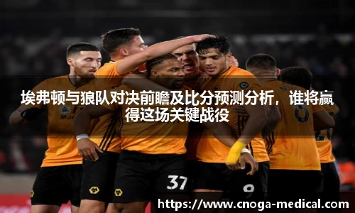 埃弗顿与狼队对决前瞻及比分预测分析，谁将赢得这场关键战役